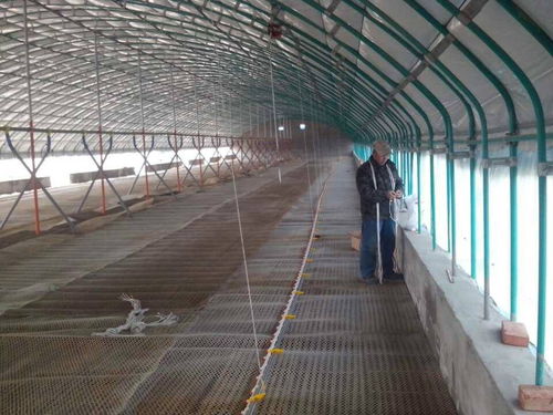 銅陵平菇大棚建造 濰坊三禾農(nóng)業(yè)全國施工與免費(fèi)設(shè)計(jì)報(bào)價(jià)服務(wù)